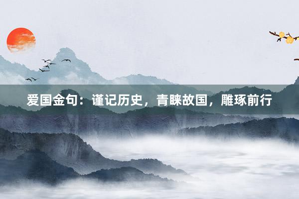 爱国金句：谨记历史，青睐故国，雕琢前行