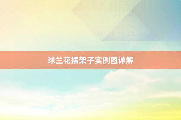 球兰花摆架子实例图详解